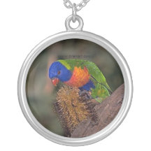Beautiful lorikeet pendants