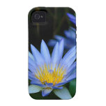 Beautiful lotus flowers and meaning iPhone 4/4S cover