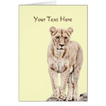 Beautiful Majestic Lioness Greeting Cards