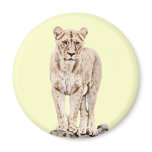 Beautiful Majestic Lioness Fridge Magnets