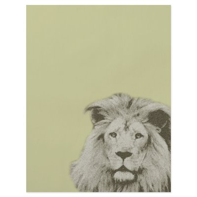Beautiful Male Lion Custom Flyer by willowdewisp