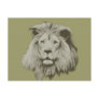 Beautiful Male Lion Post Card