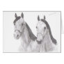 Beautiful Mares Horse Drawings Greeting Cards