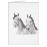Beautiful Mares Horse Drawings Greeting Card