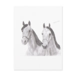 Beautiful Mares Horse Drawings postcards