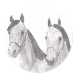 Beautiful Mares Horse Drawings Round Stickers