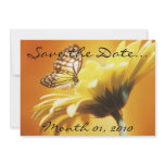 Beautiful Monarch Butterfly Invitations