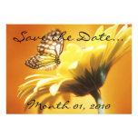 Beautiful Monarch Butterfly Invitations