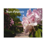 Beautiful Mont La Salle postcards