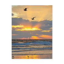 Beautiful Morning Beach Sunrise Scenery Postcard