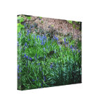 Beautiful nature canvas canvas print