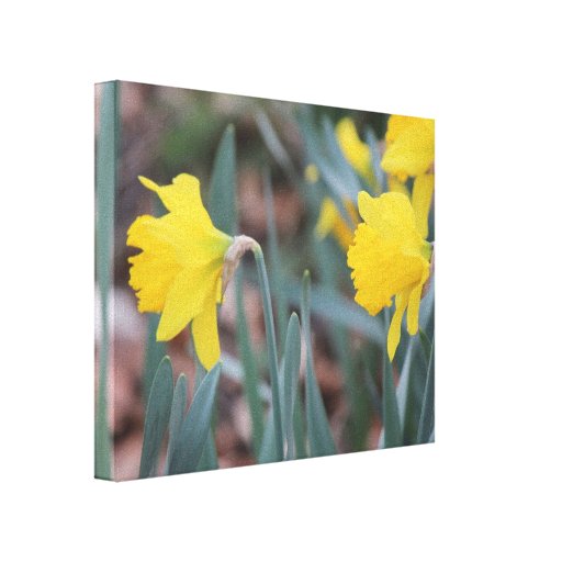 Beautiful nature canvas stretched canvas prints