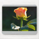 Beautiful Nature: Orange rose - Mousepad