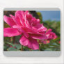 Beautiful Nature: Red Rose - Mousepad