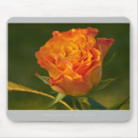 Beautiful Nature: Red Rose - Mousepad