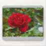 Beautiful Nature: Red Rose - Mousepad