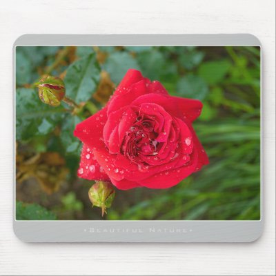 Beautiful Nature: Red Rose - Mousepad by Houk_photography