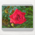 Beautiful Nature: Red Rose - Mousepad