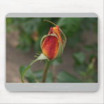 Beautiful Nature: Red Rose - Mousepad