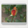 Beautiful Nature: Red Rose - Mousepad