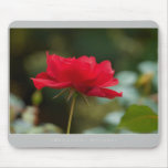 Beautiful Nature: Red Rose - Mousepad