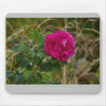 Beautiful Nature: Red with drops - Mousepad