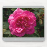 Beautiful Nature: Red with drops - Mousepad