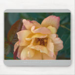 Beautiful Nature: Rose - Mousepad
