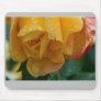 Beautiful Nature: Yellow Rose & drops- Mousepad