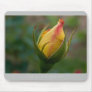 Beautiful Nature: Yellow Rose - Mousepad