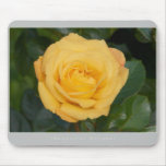 Beautiful Nature: Yellow Rose - Mousepad