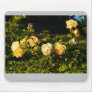 Beautiful Nature: Yellow Roses - Mousepad