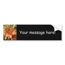 Beautiful Orange Flowers bumper stickers
