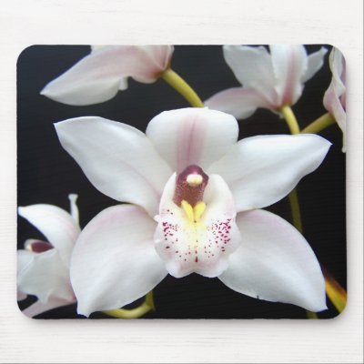 Beautiful Orchid Mouse Pads by semas87