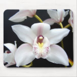 Beautiful Orchid mousepads