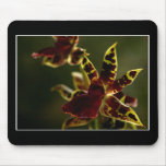 Beautiful Orchid Mousepad! (with border)