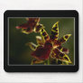 Beautiful Orchid Mousepad! (with border)