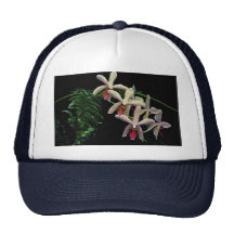 Beautiful Orchid phalenopsis (Vivian) Trucker Hats