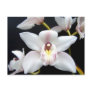 Beautiful Orchid Post Cards