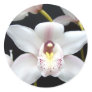 Beautiful Orchid Stickers