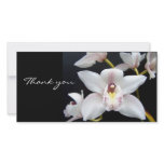 Beautiful Orchid thank you photo cards