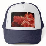 Beautiful Ornate starfish from the Fiji Islands Trucker Hats