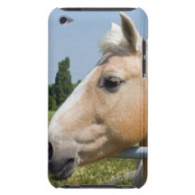 Beautiful Palomino Horse iPod Touch Cases