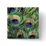 Beautiful Peacock Pin