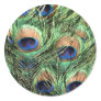 Beautiful Peacock Sticker