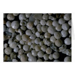 Beautiful Pebbles from Forams, Pernera, Cyprus Cards