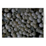 Beautiful Pebbles from Forams, Pernera, Cyprus Cards