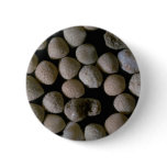 Beautiful Pebbles from Forams, Podang Bai, Bali, I Buttons