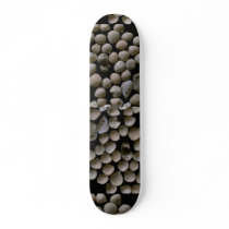Beautiful Pebbles from Forams, Podang Bai, Bali, I Custom Skate Board