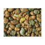 Beautiful Pebbles from Hana, Maui Postcards